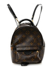 Monogram Palm Springs Backpack Mini