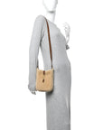 Shearling Suede Mini Le 5 A 7 Vertical Hobo Natural Beige Dark Cigar
