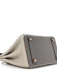 Togo Horseshoe Birkin 25 Etain Gris Perle