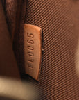 Monogram Mini Pochette Accessories