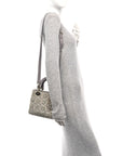 Calfskin Satin Celestial Bead Embroidery Embroidered Small Lady D1OR Grey Multicolor