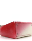 Snakeskin Ombre Medium Lady D1OR Red White