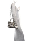 Metallic Lambskin Cannage Small My ABCD1OR Lady D1OR Dark Silver