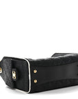 Braided Raffia Calfskin Quilted Mini CHNL 25 Handbag Black White