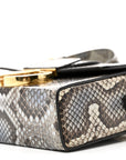Snakeskin 30 Montaigne Box Bag Beige Multicolor