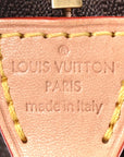 Monogram Chain Pochette Accessories