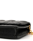 Supple Calfskin Caro Pouch with Chain Black