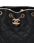 Braided Raffia Calfskin Small CHNL 25 Handbag Black White