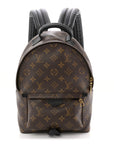 Monogram Palm Springs Backpack PM