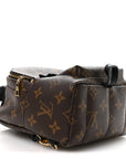 Monogram Palm Springs Backpack Mini