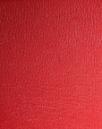 Ostrich Birkin 30 Rouge Vif