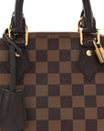 Damier Ebene Alma BB