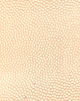 Grain De Poudre Classic Kate Monogram Clutch Nude Powder