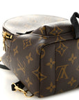Monogram Palm Springs Backpack Mini