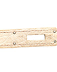 Matte Niloticus Crocodile Birkin 30 Parchemin