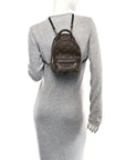 Monogram Palm Springs Backpack Mini