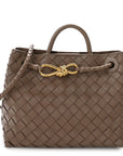 Nappa Intrecciato Small Andiamo Shoulder Bag Pinecone