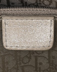 Metallic Nubuck Cannage Medium Lady D1OR Silver