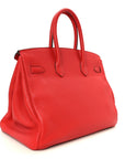 Togo BIRKIN 35 Geranium