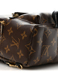 Monogram Palm Springs Backpack Mini