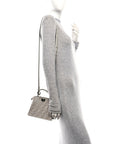 Iridescent Crystal Vitello Laminato Suede FF Petite Peekaboo I SEE U Satchel Cappuccino