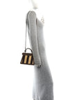 Cuoio Romano Raffia Woven Petite Peekaboo I SEE U Satchel Natural Gianduia