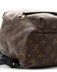 Monogram Palm Springs Backpack MM