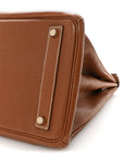 Chevre de Coromandel HAC Birkin 36 Gold