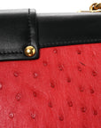 City Calfskin Ostrich Cahier Bag Fuoco Black