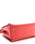 Vitello Seta Nappa Mini Plexi Handle Peekaboo Iconic Satchel Pomodoro