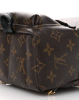 Monogram Palm Springs Backpack Mini