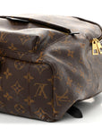 Monogram Palm Springs Backpack MM