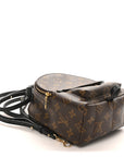 Monogram Palm Springs Backpack Mini