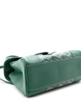 Goyardine Mini Saigon Green