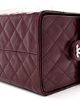 Shiny Crumpled Calfskin Quilted Medium CHNL 25 Handbag Dark Burgundy