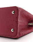 Ostrich Capucines MM Fuchsia