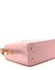 Ostrich Capucines Mini Pink