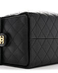 Caviar Quilted Medium CHNL 25 Handbag Black