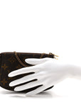 Monogram Mini Pochette Accessories
