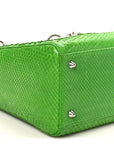 Snakeskin Medium Lady D1OR Green