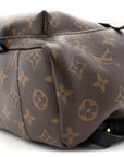 Monogram Palm Springs Backpack PM
