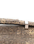 Lizard Constance 18 Ombre