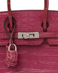 Shiny Niloticus Crocodile Birkin 25 Rose Scheherazade