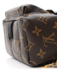 Monogram Palm Springs Backpack Mini