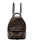 Monogram Palm Springs Backpack Mini