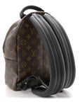 Monogram Palm Springs Backpack PM