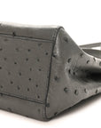 Ostrich Shiny Nappa Mini Peekaboo Iconic Satchel Grey