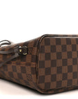 Damier Ebene Neo Neverfull PM