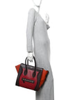 Satin Calfskin Mini Tri-Color Luggage Blood