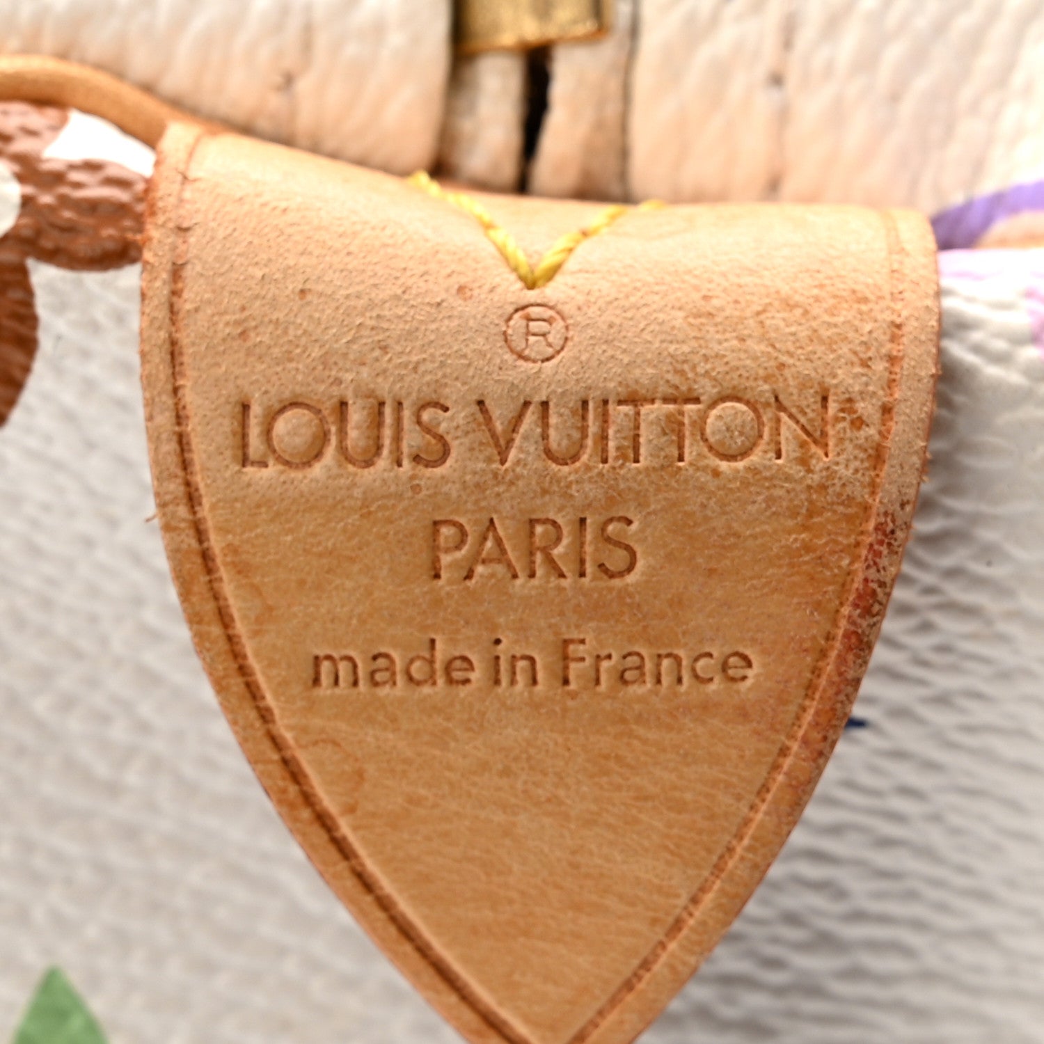 Monogram Multicolor Speedy 30 White